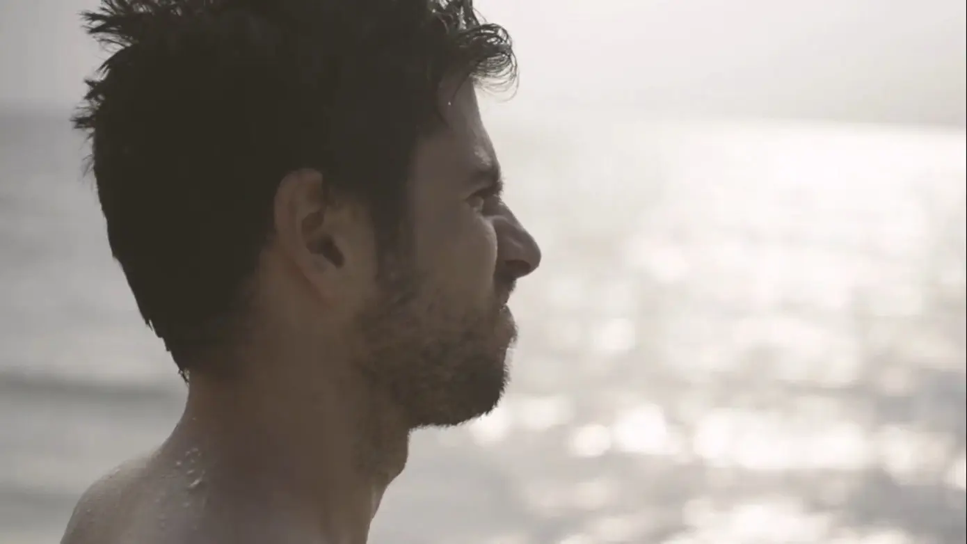 Sexual Animals backdrop