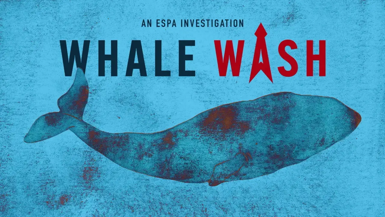 Whale Wash backdrop