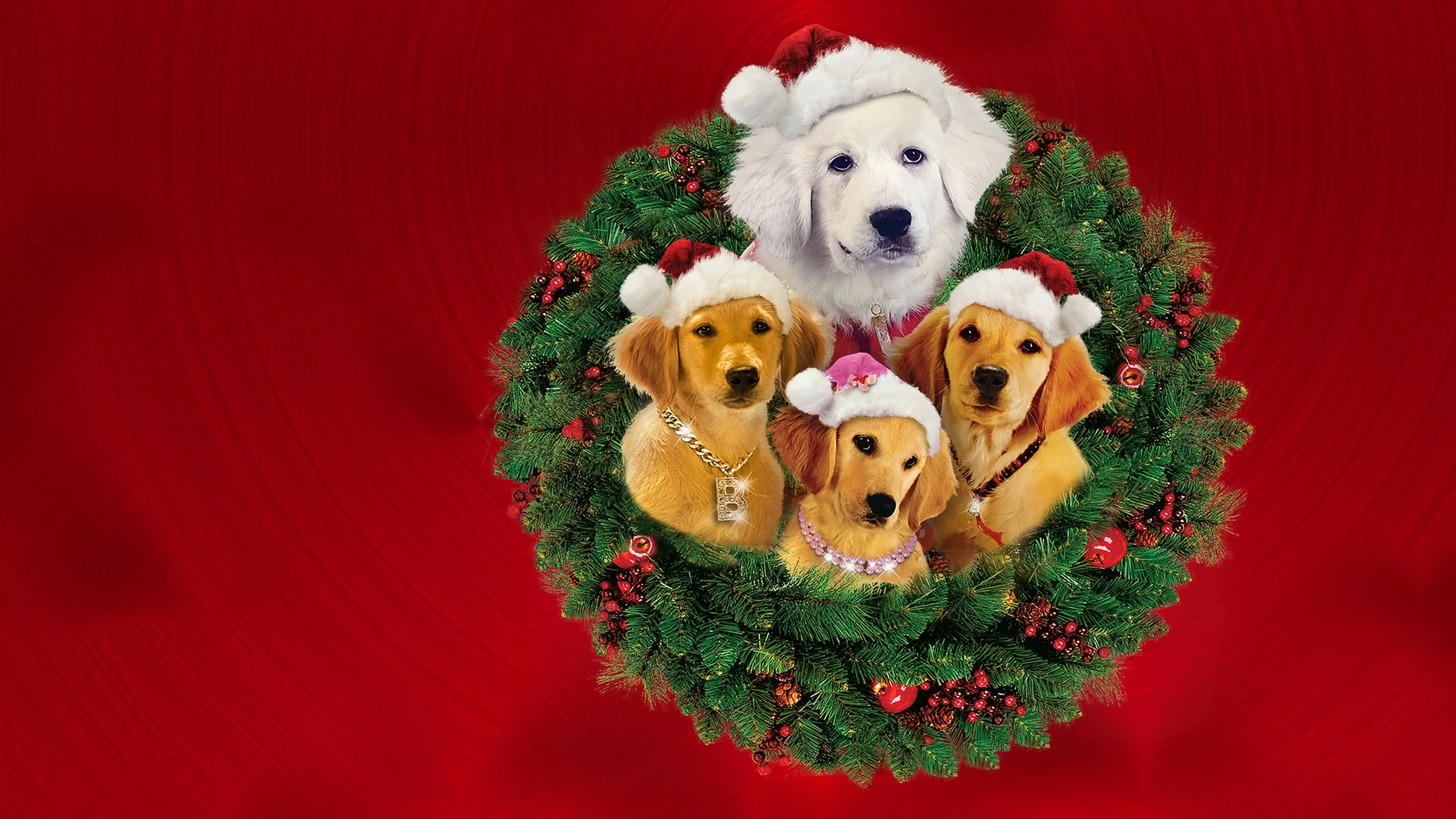 Santa Buddies backdrop