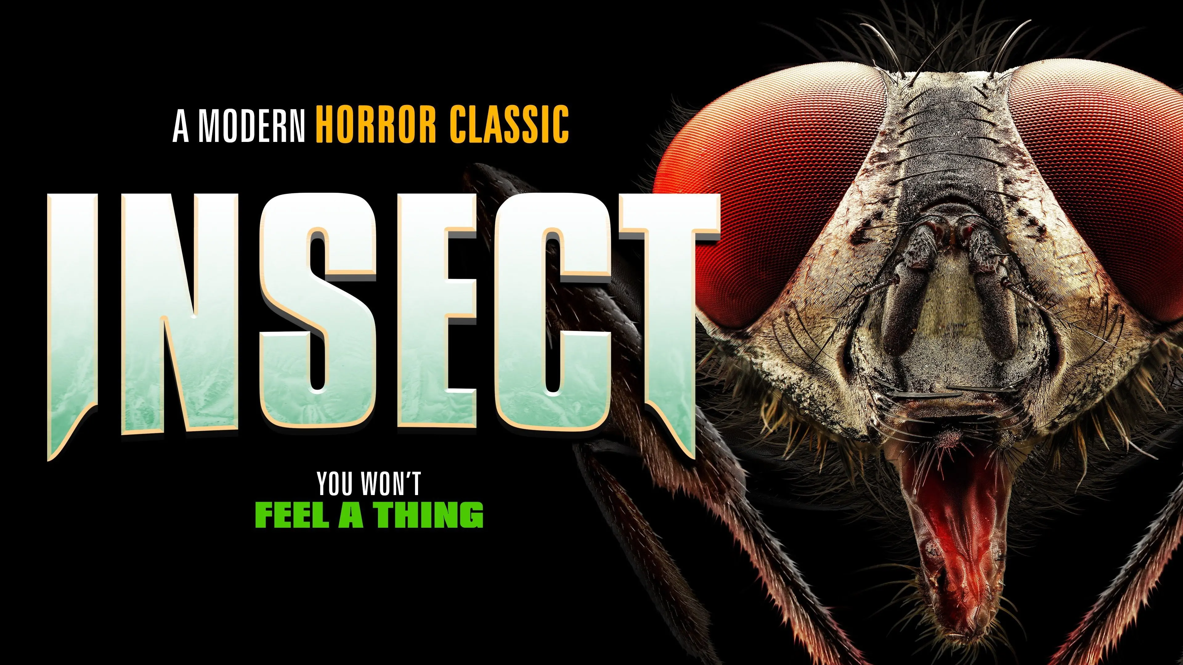 Insect backdrop