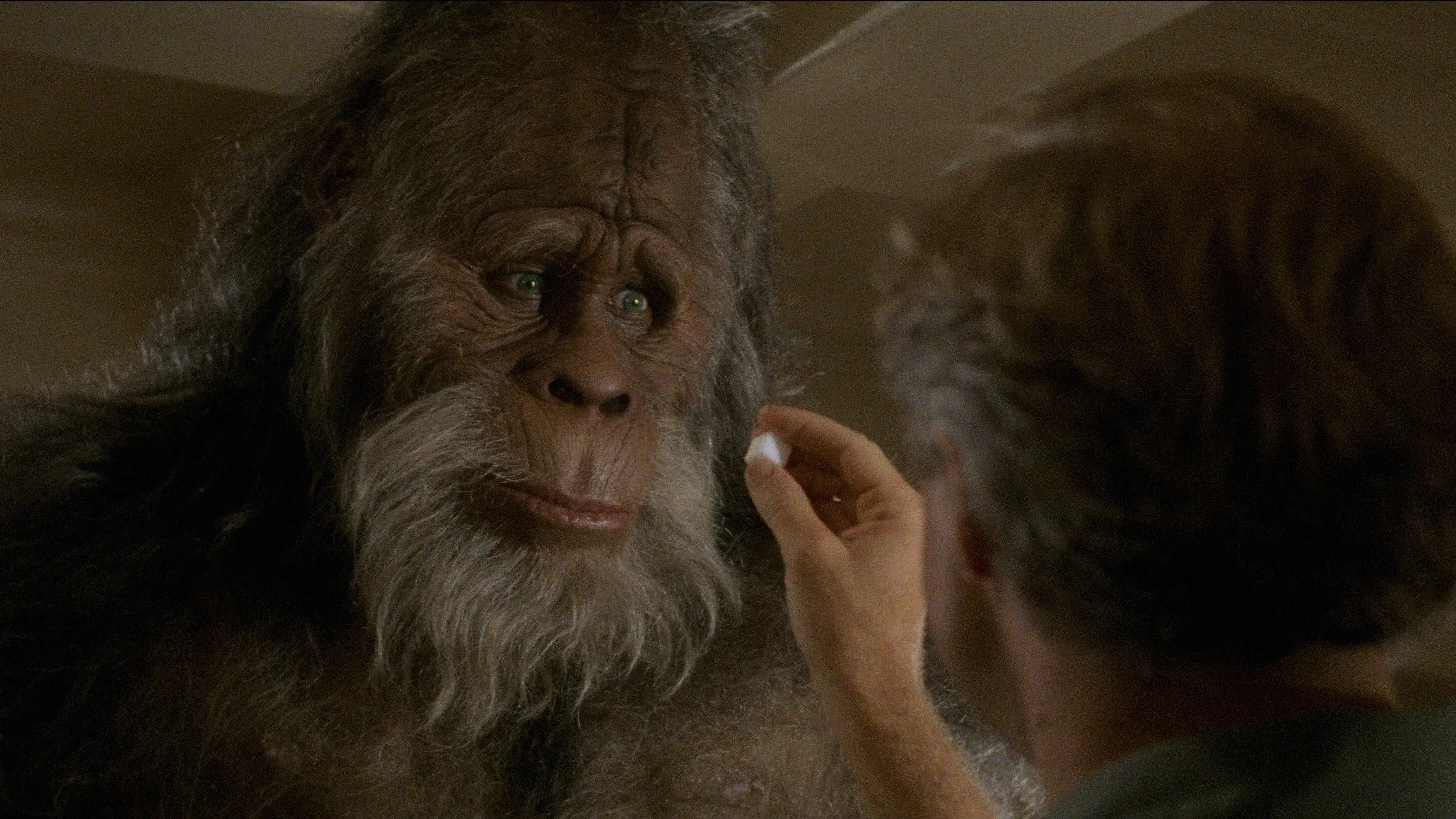 Harry and the Hendersons backdrop