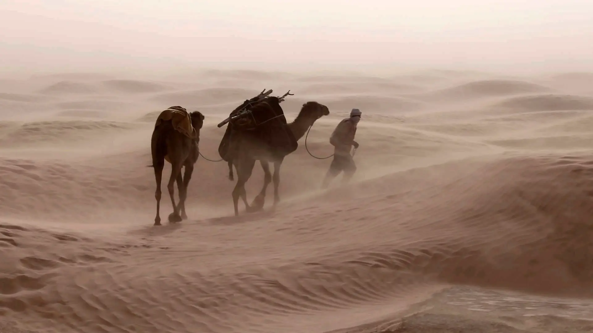 Winds : an Invisible Strength backdrop
