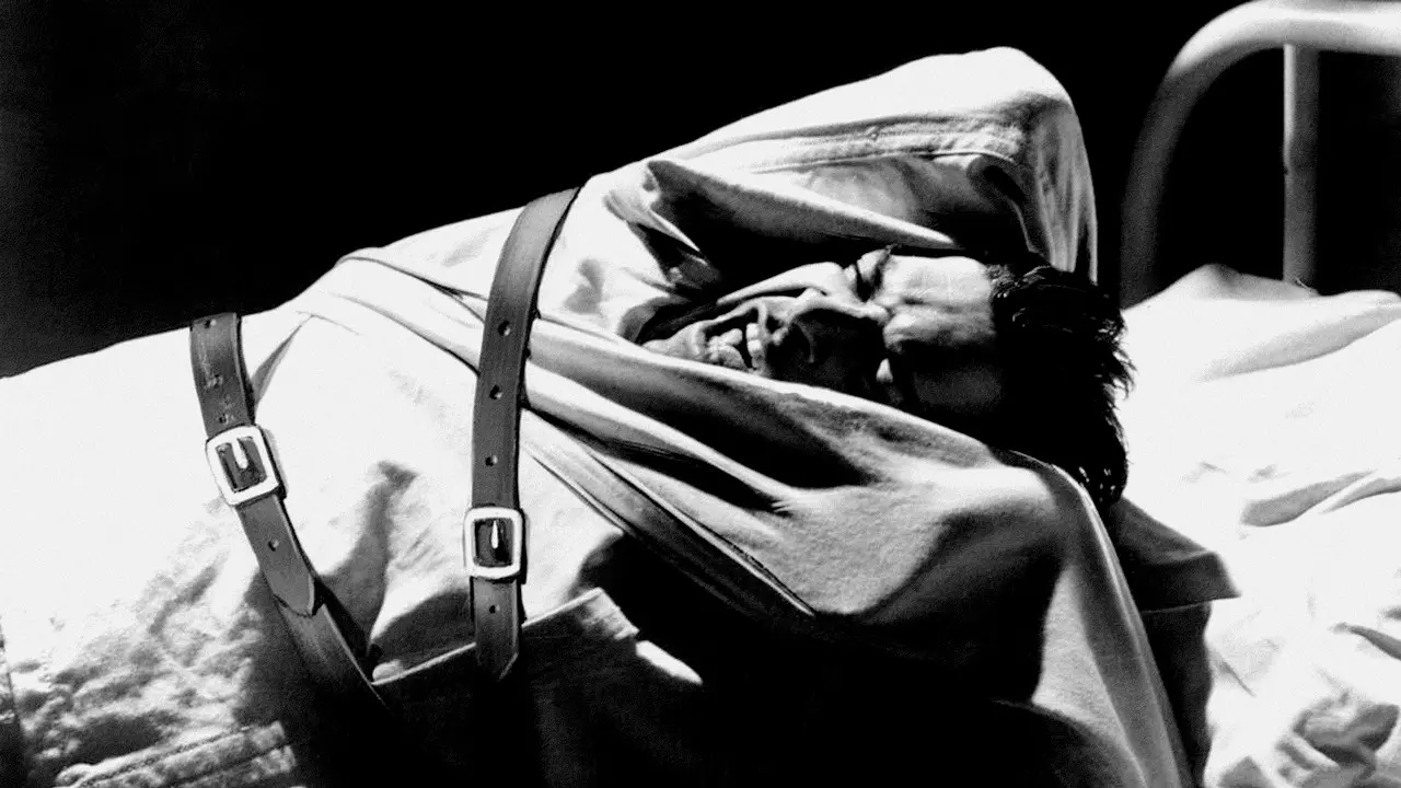 Shock Corridor backdrop