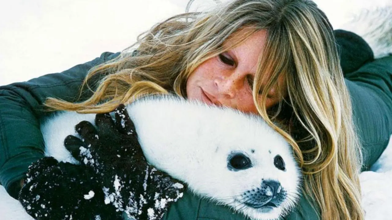 Brigitte Bardot, rebel with a cause backdrop
