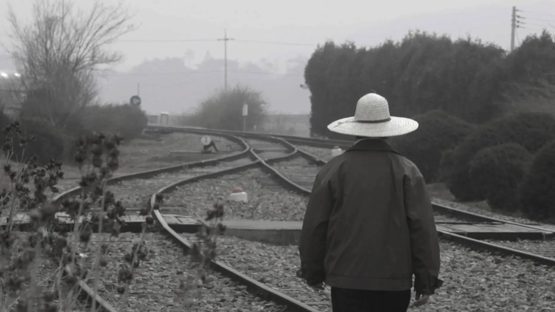 My Father's Emails backdrop