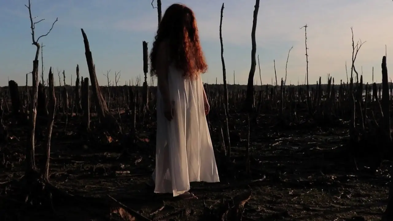The Girl in the Cornfield backdrop