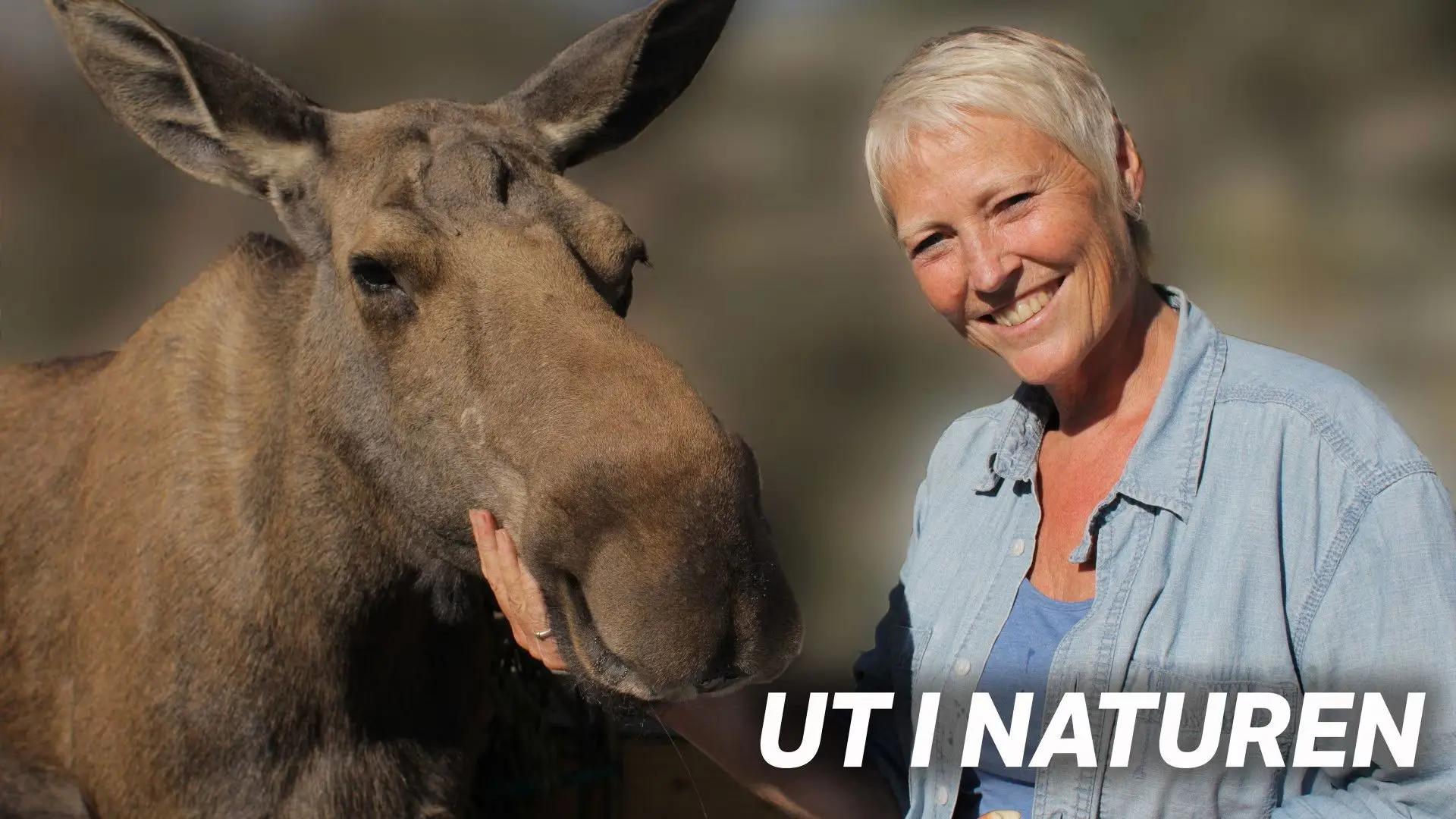 Ut i naturen backdrop