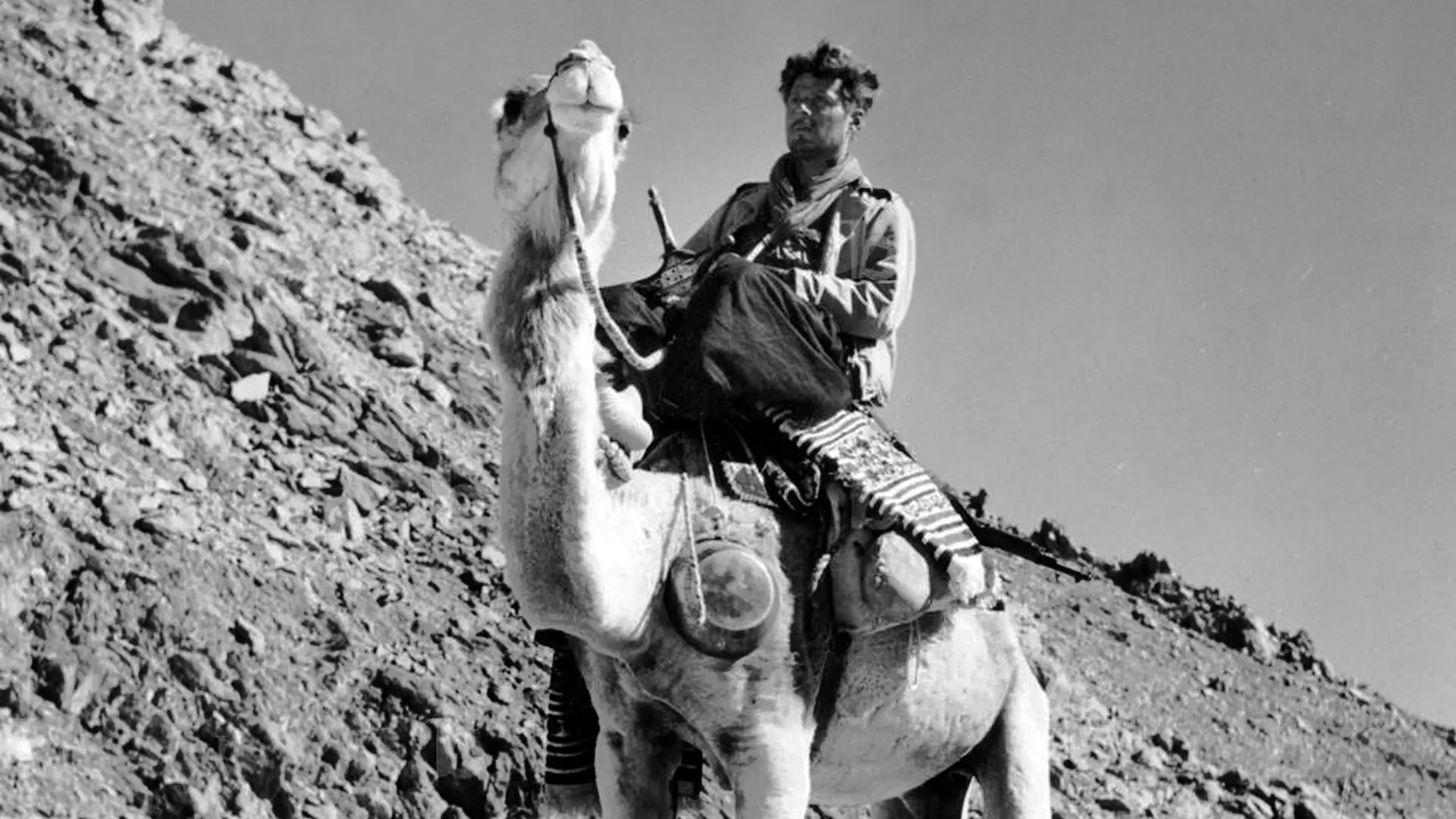 The Frison-Roche Track backdrop