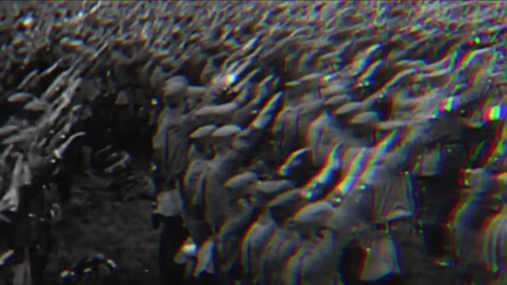 Decay: On Fascism and Breakdown backdrop