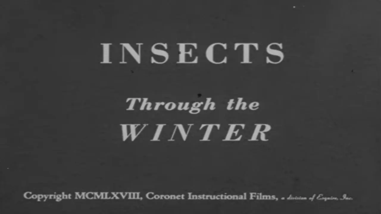 Insects Through the Winter backdrop