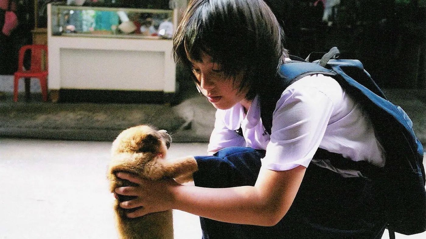 A Bite of Love backdrop