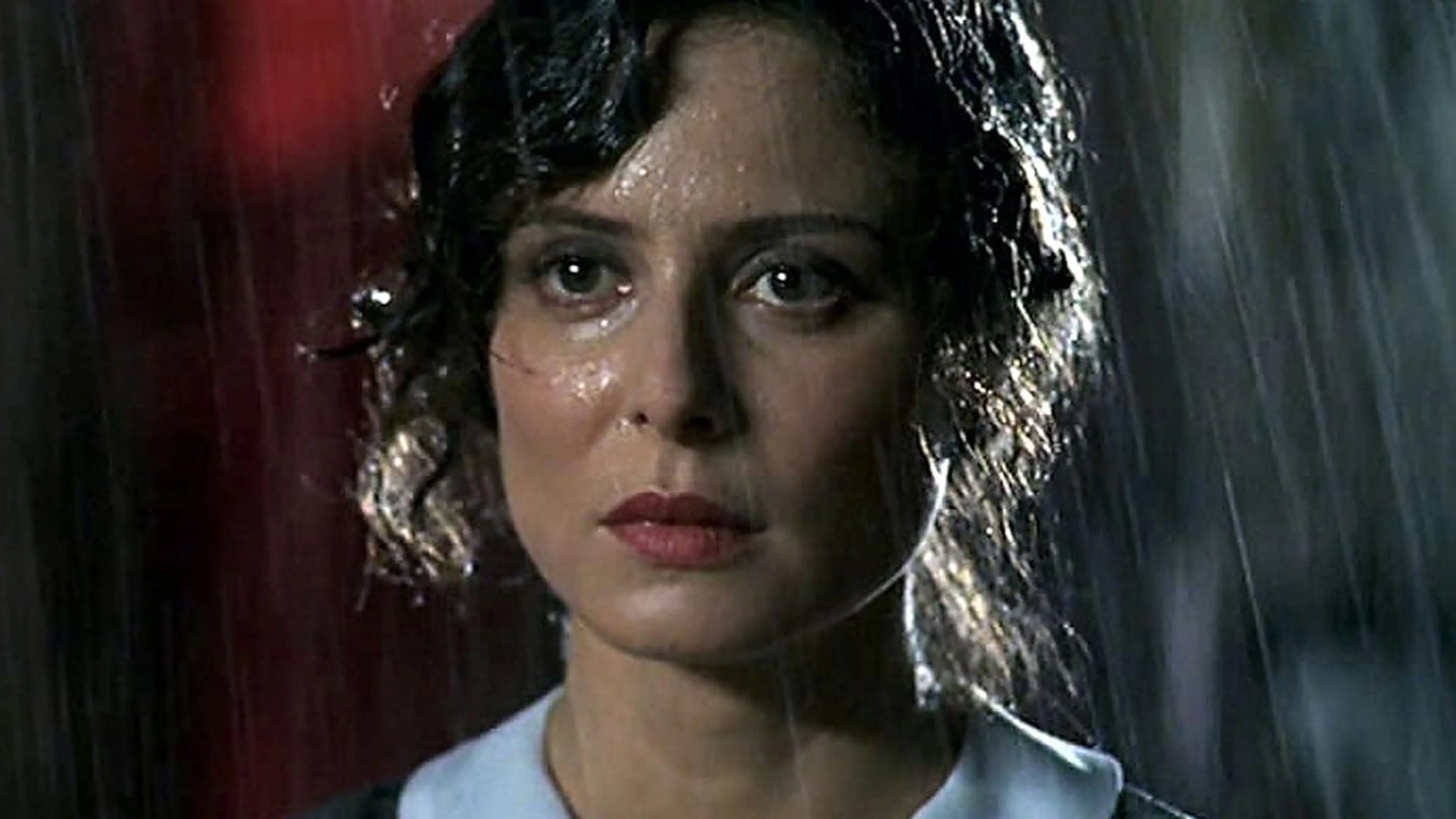 Tangos Are for Two backdrop