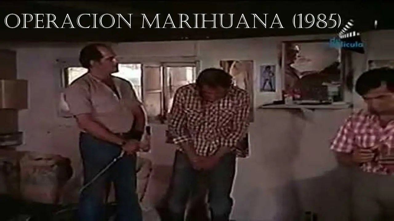 Operation Marihuana backdrop
