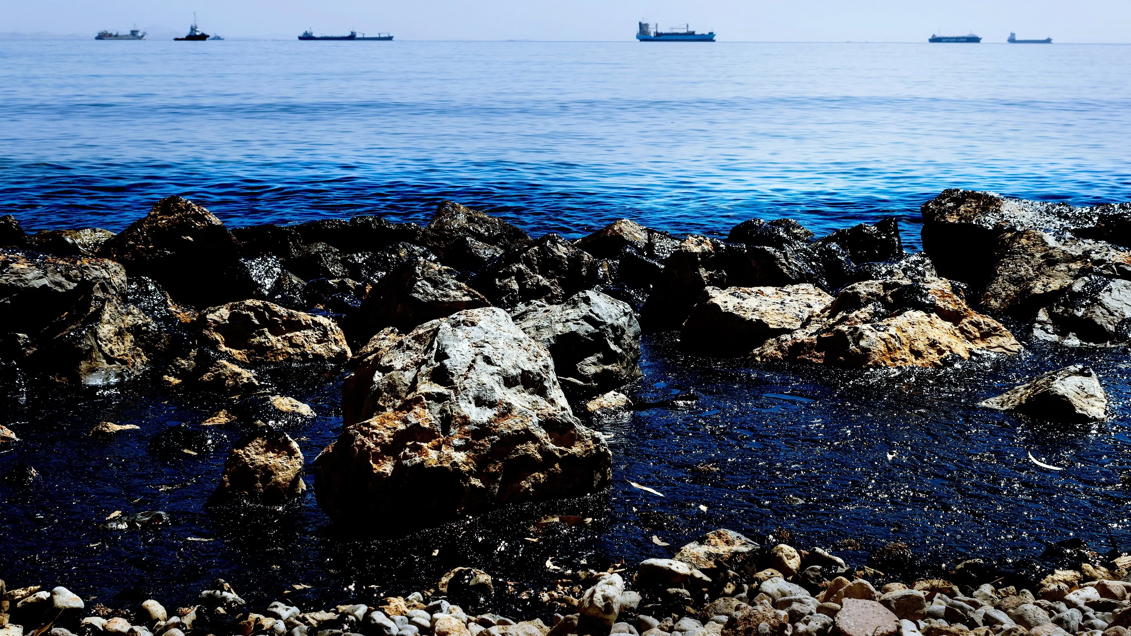 Oil Spill of The Century backdrop