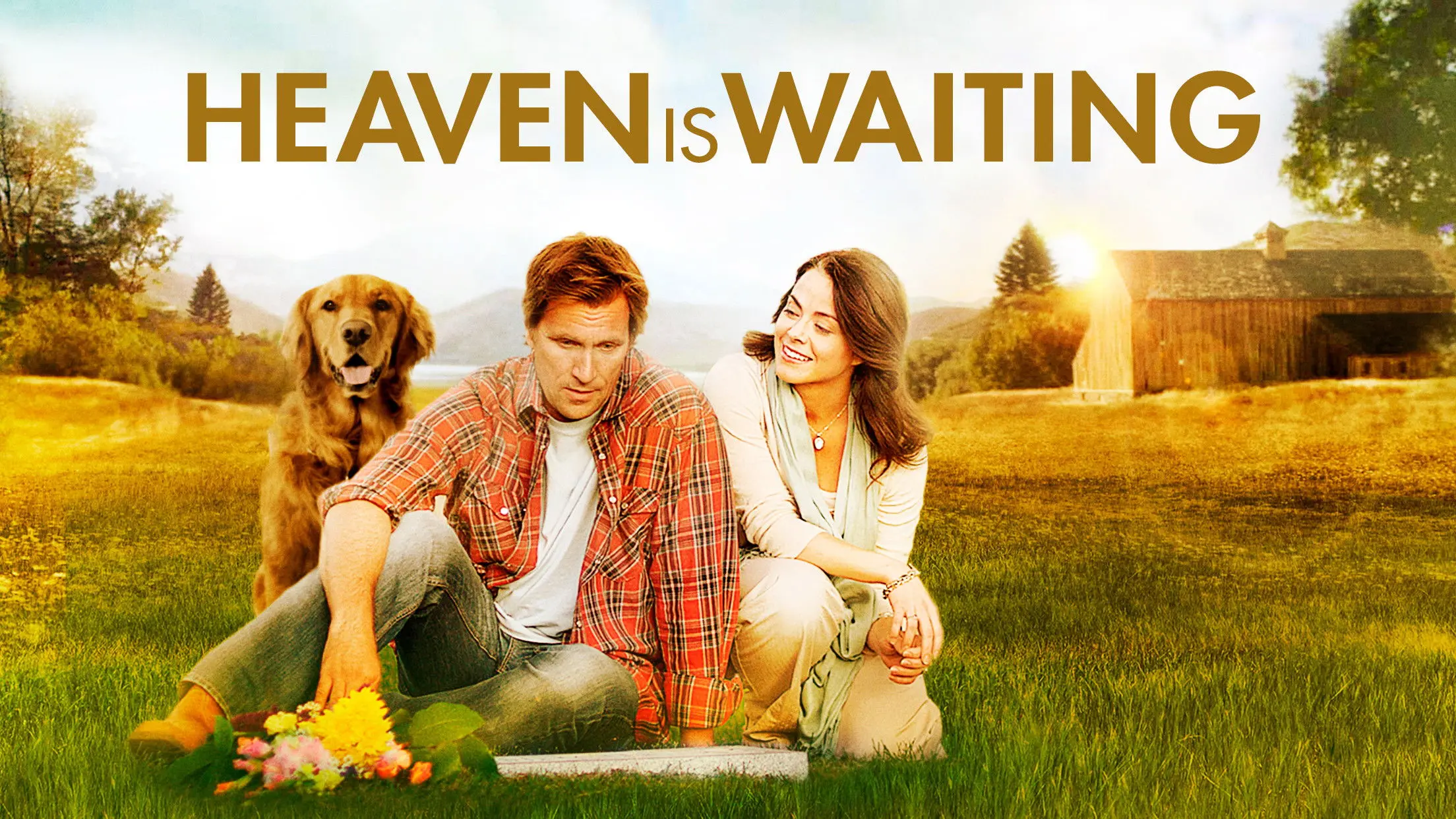 Midway to Heaven backdrop