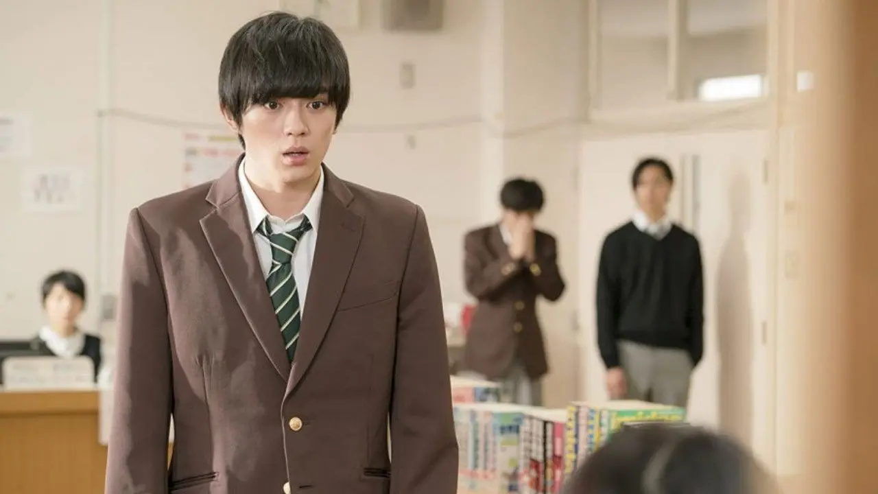 Sakura Blooms backdrop