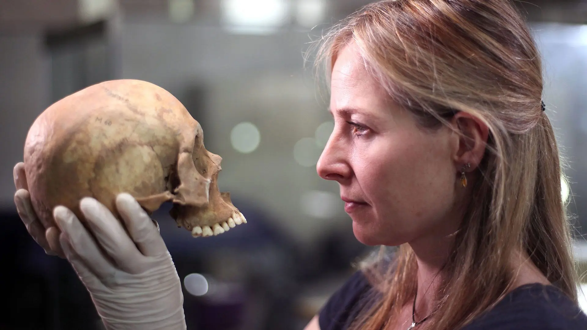 The Greatest Tomb on Earth: Secrets of Ancient China backdrop