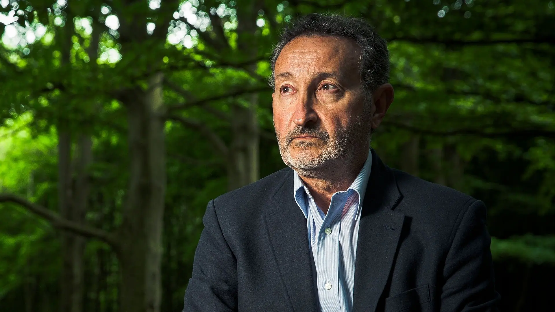 Murder in the Alps backdrop