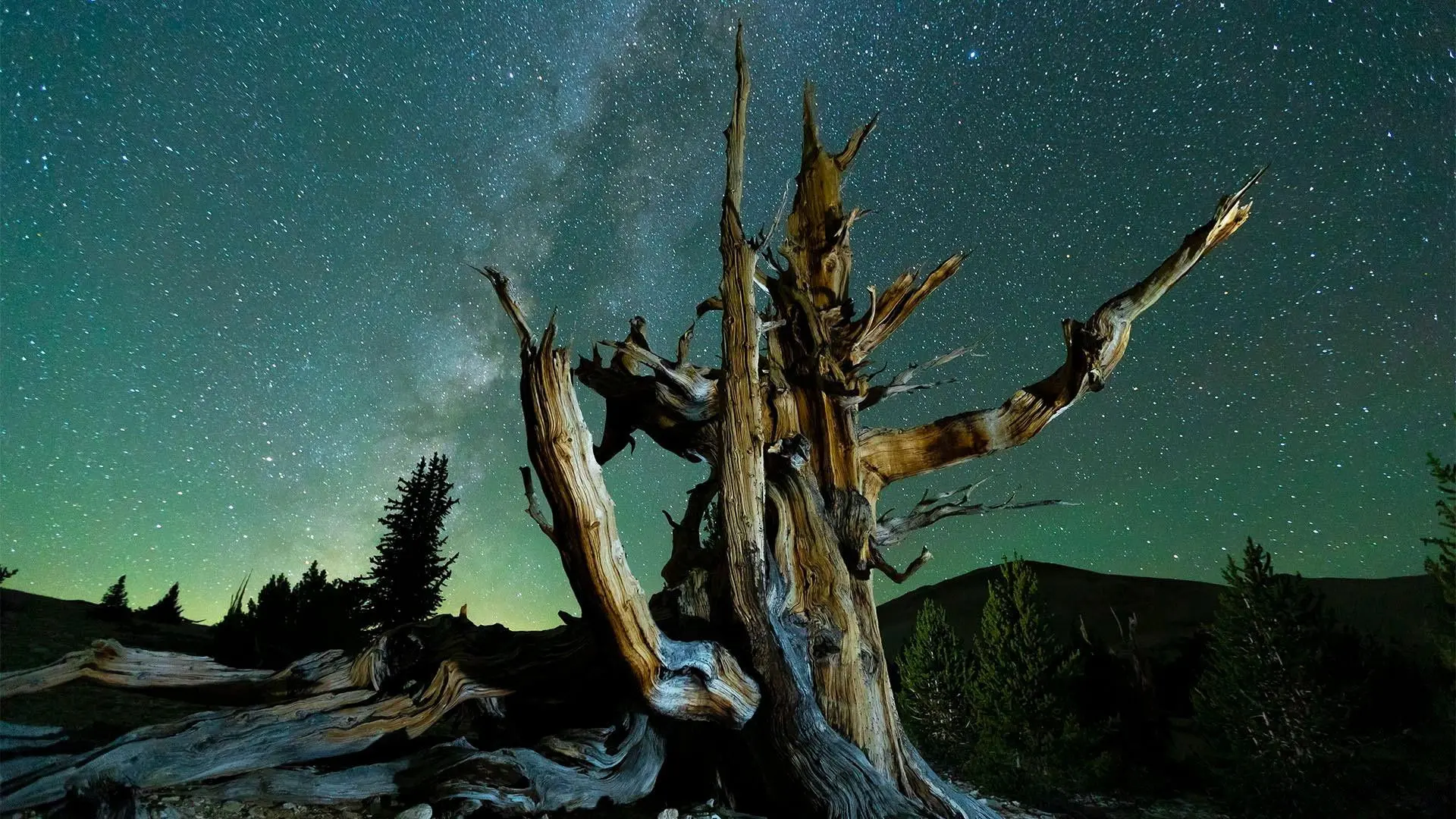 Planet California backdrop