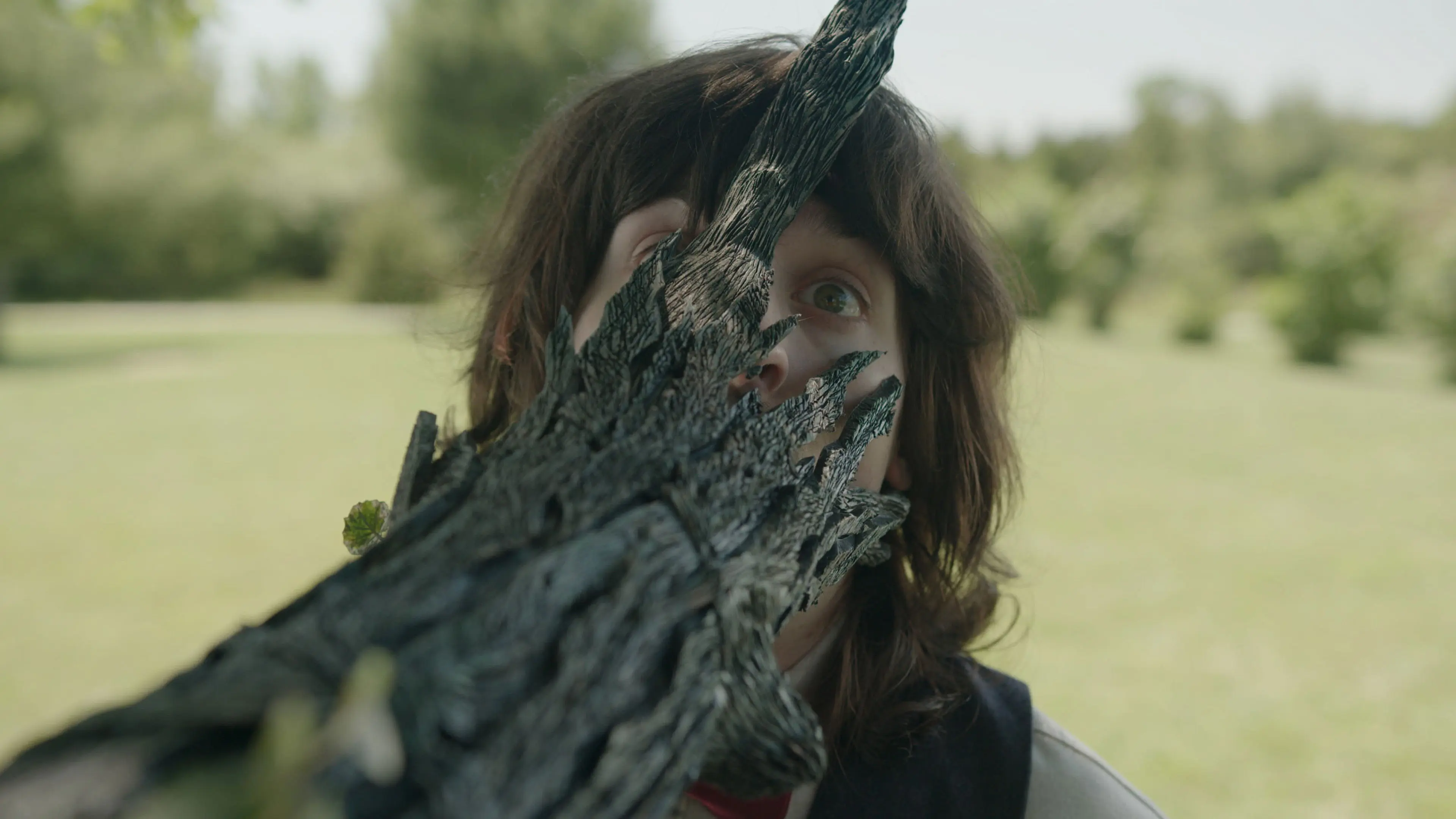 The Taking Tree backdrop