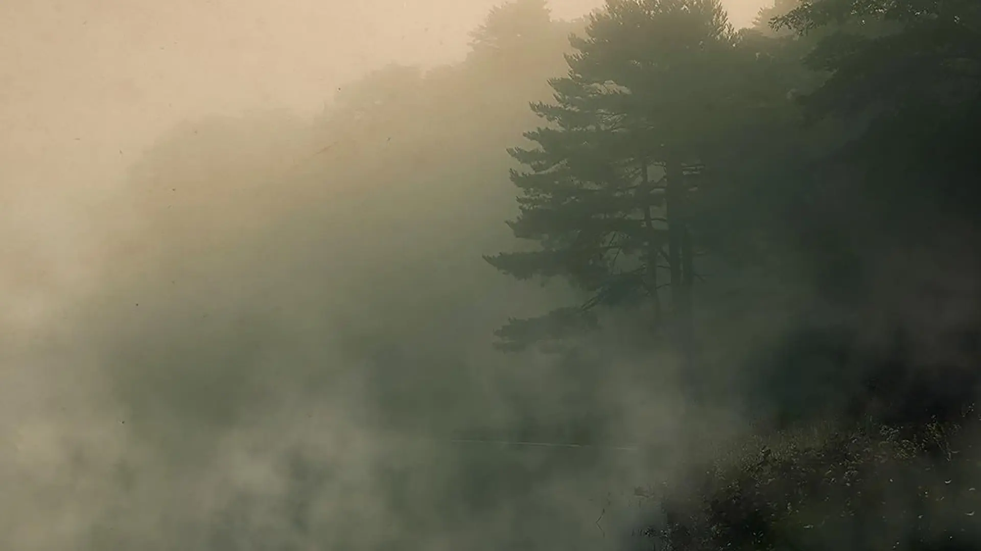 Devil in the Ozarks backdrop