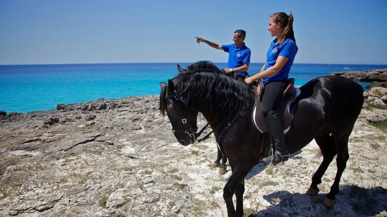 Die Balearischen Inseln backdrop