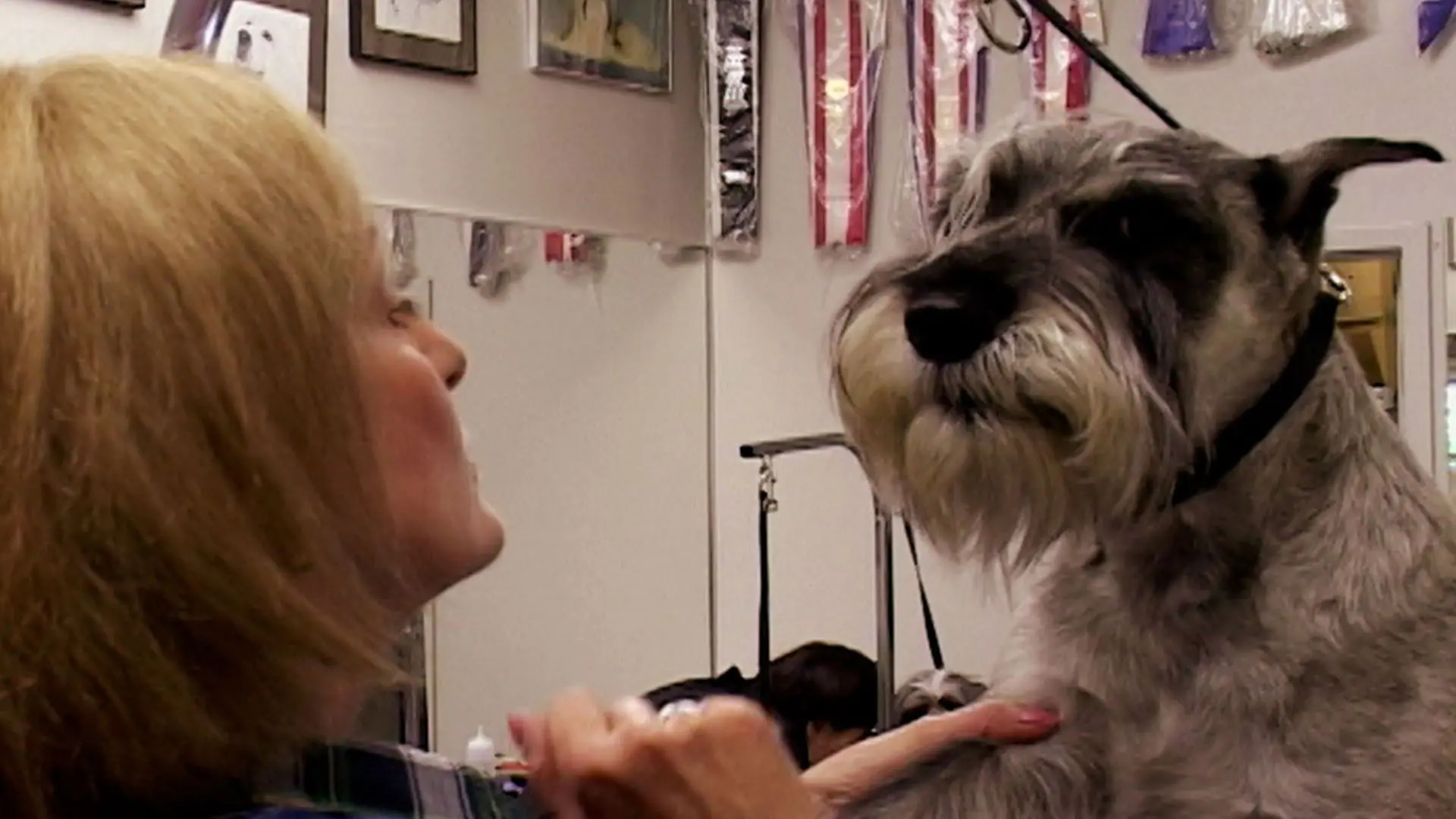 Going to the Dogs backdrop