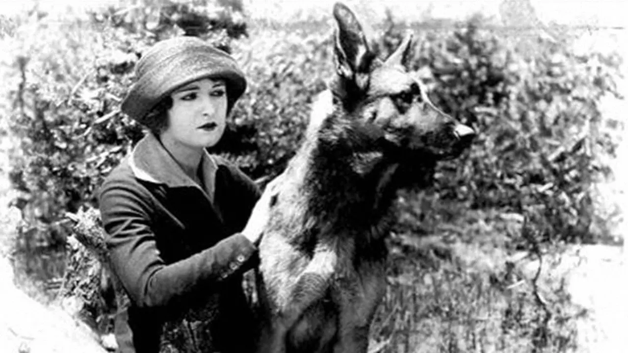 The Silent Call backdrop