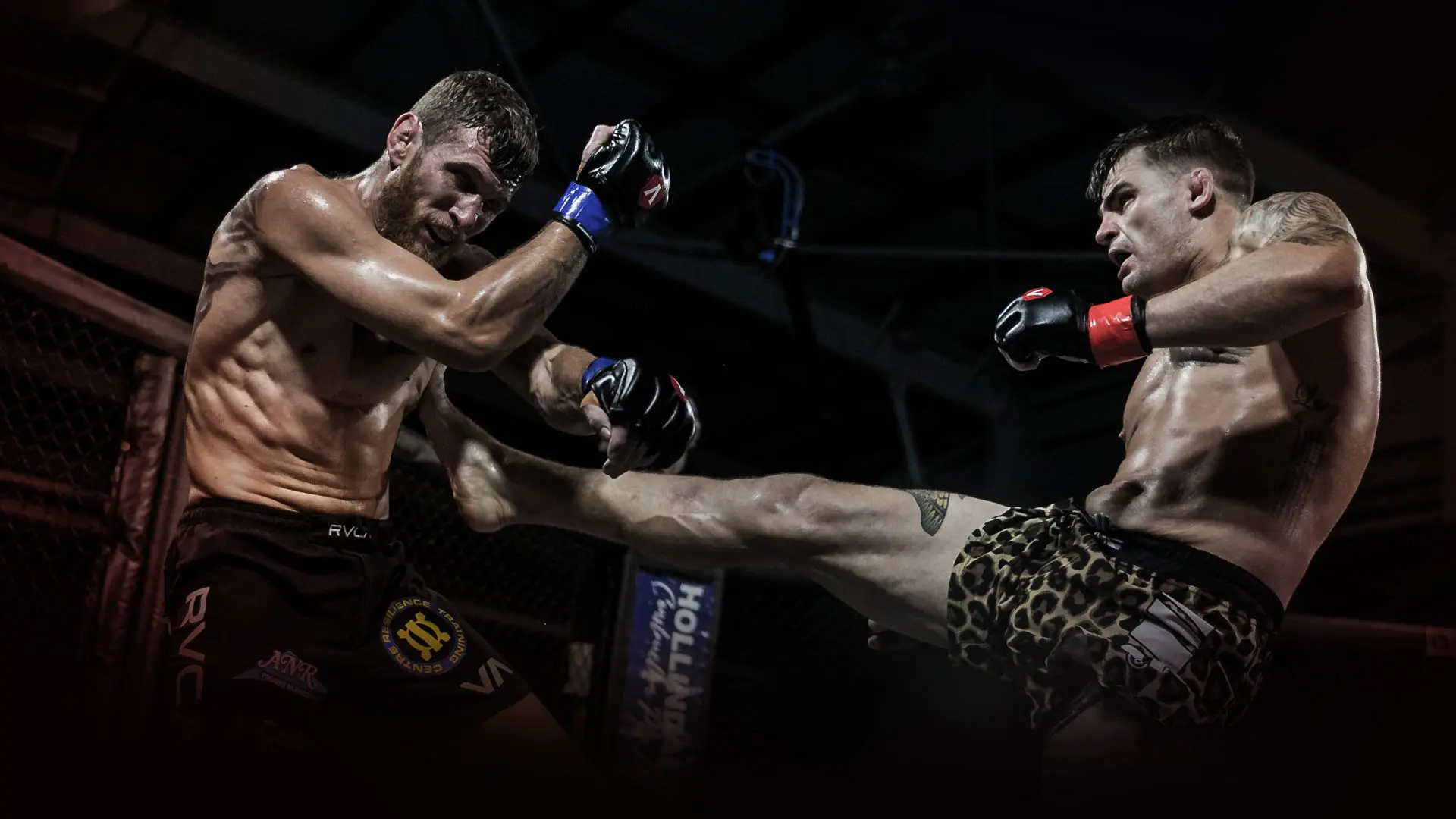 Eternal MMA 81: Gold Coast backdrop