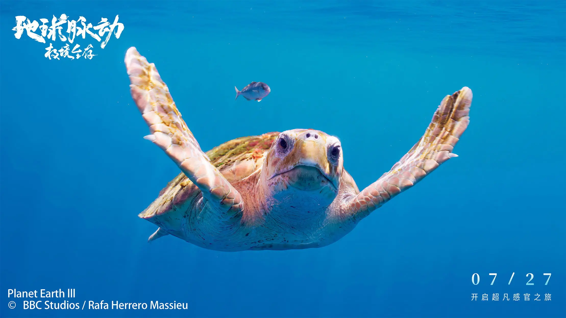 Planet Earth: Hostile Paradise or Perfect Hell? backdrop