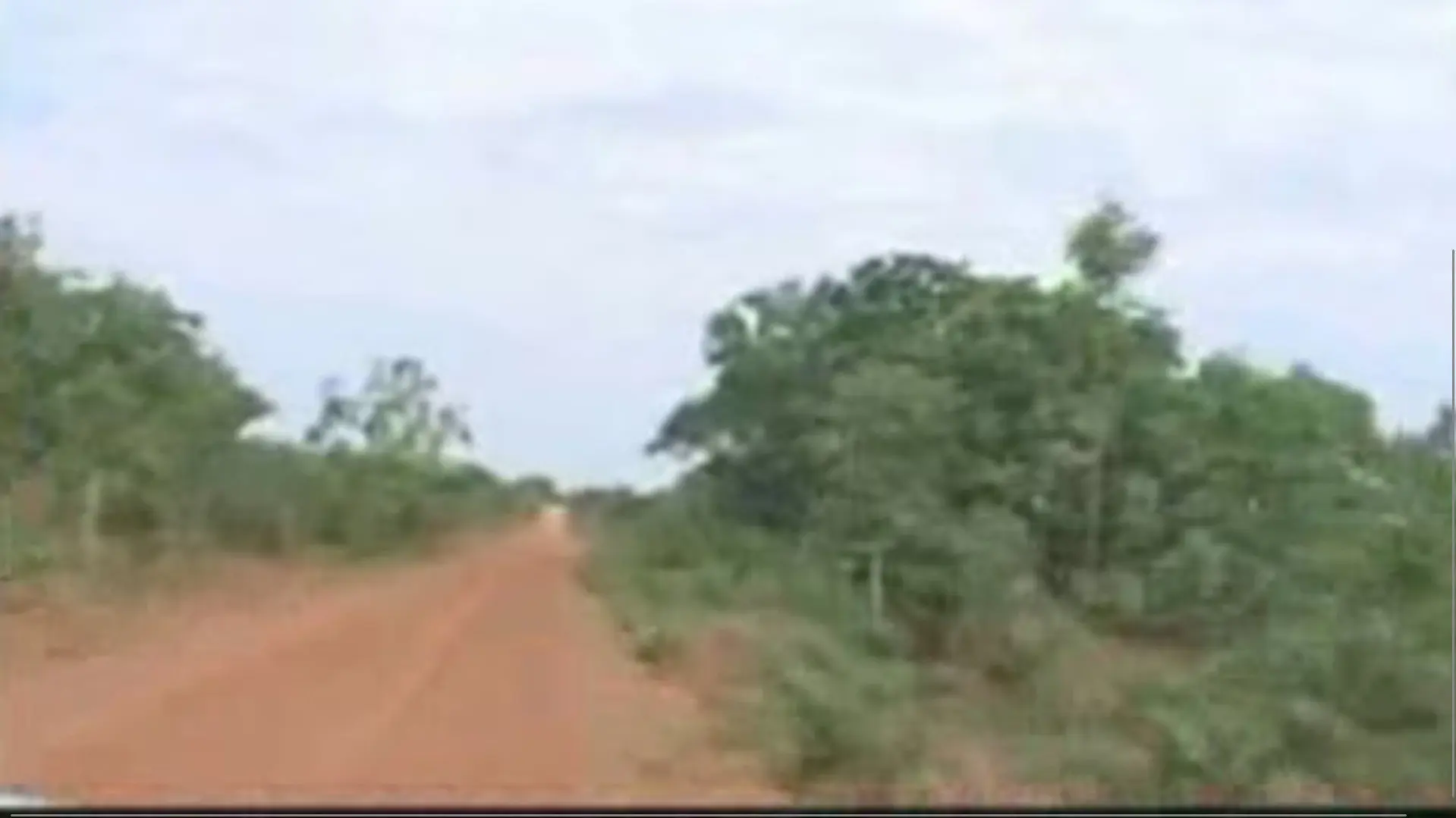 A Terra E O Tempo - Vozes Do Quilombo backdrop