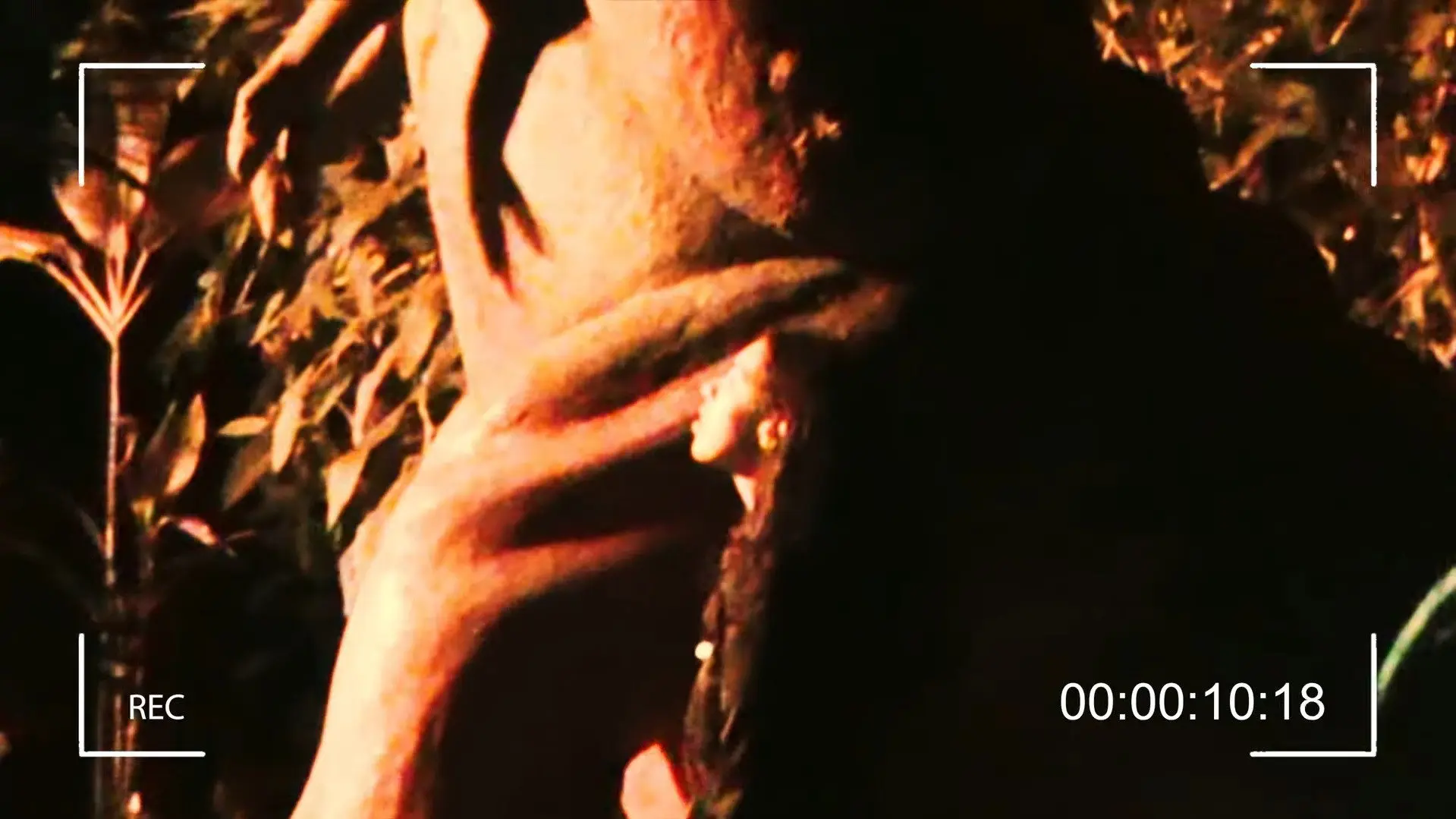 The Sun Vanished backdrop