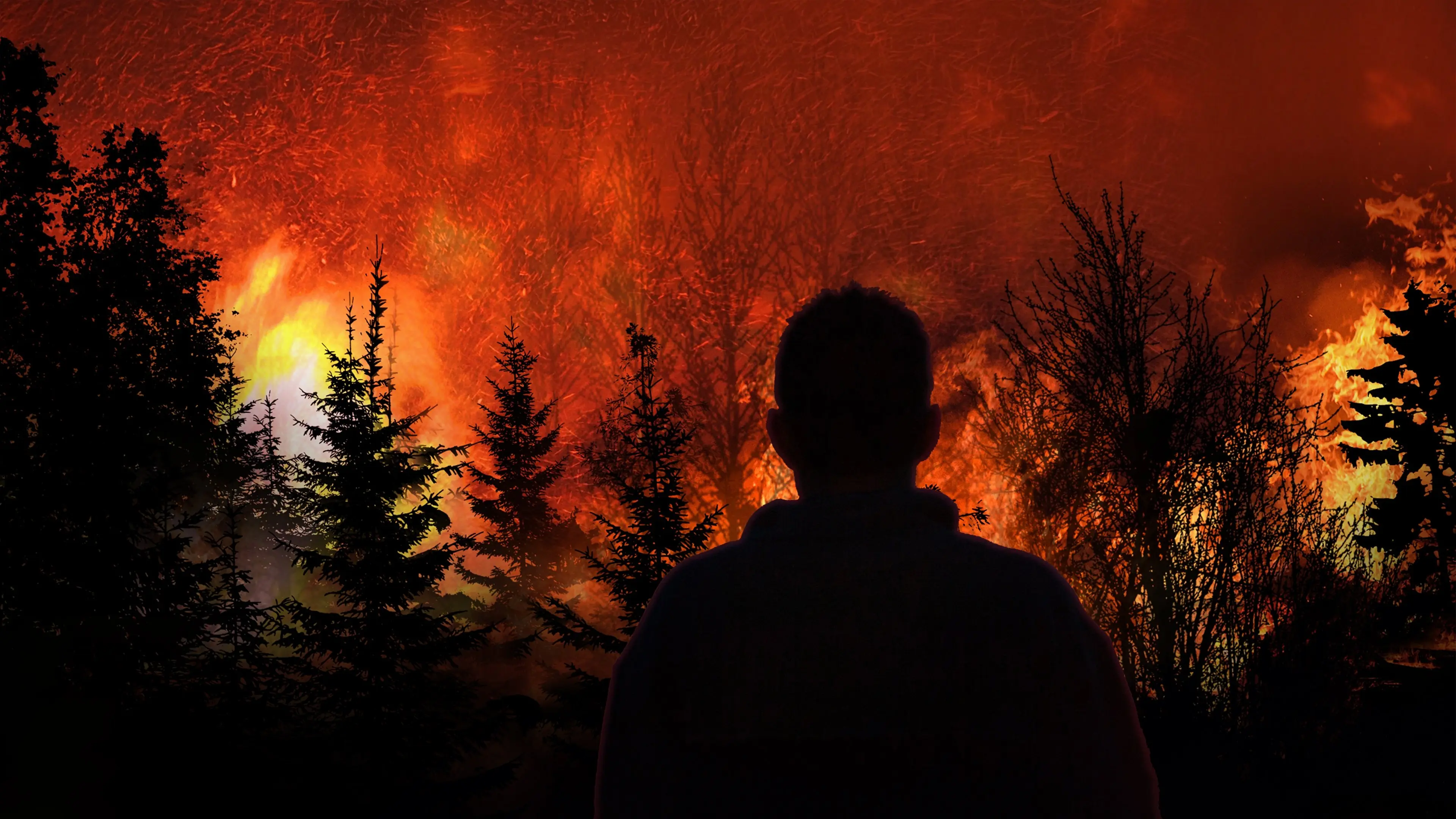 Witness to Disaster backdrop