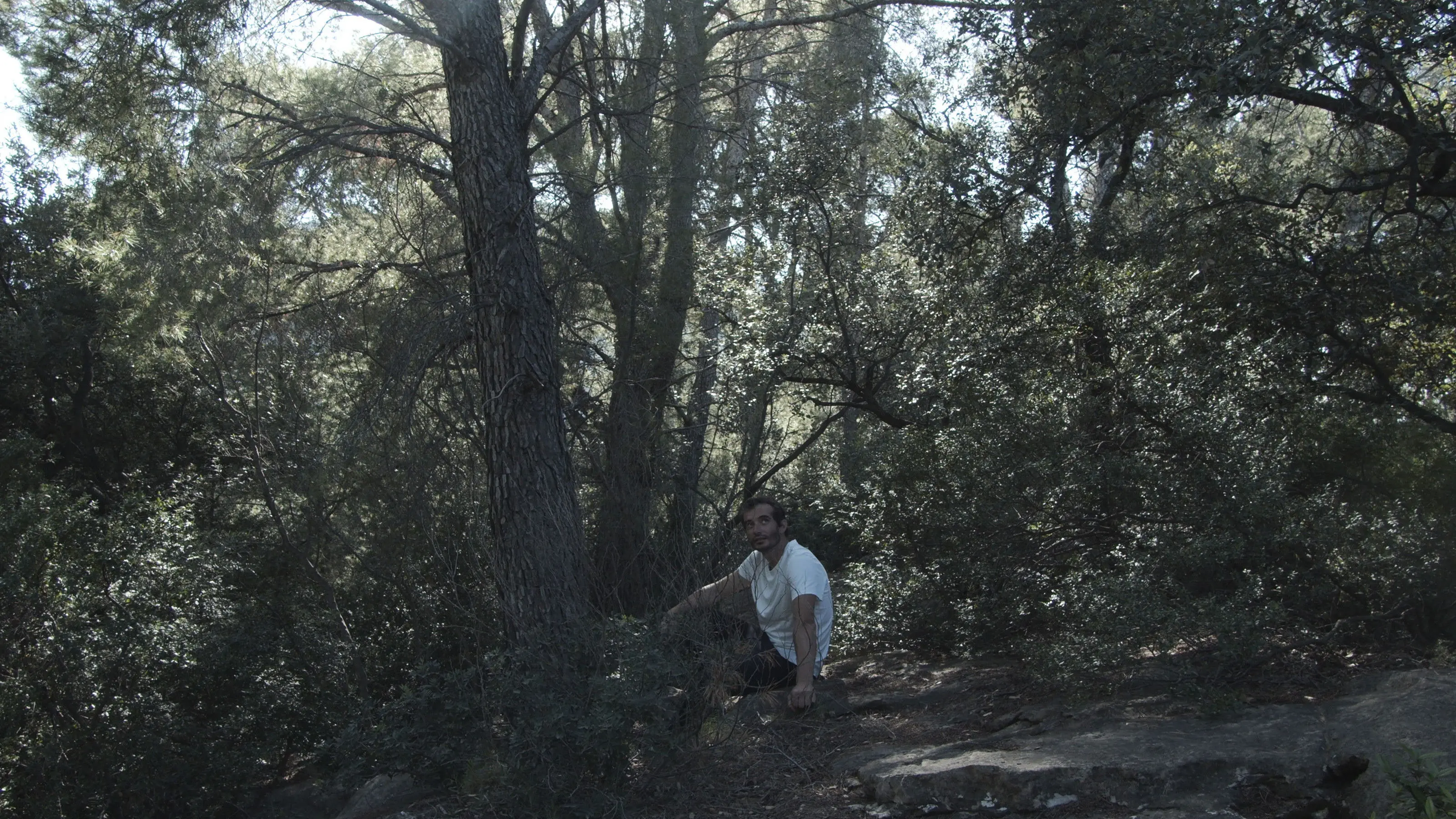 The iron man. backdrop