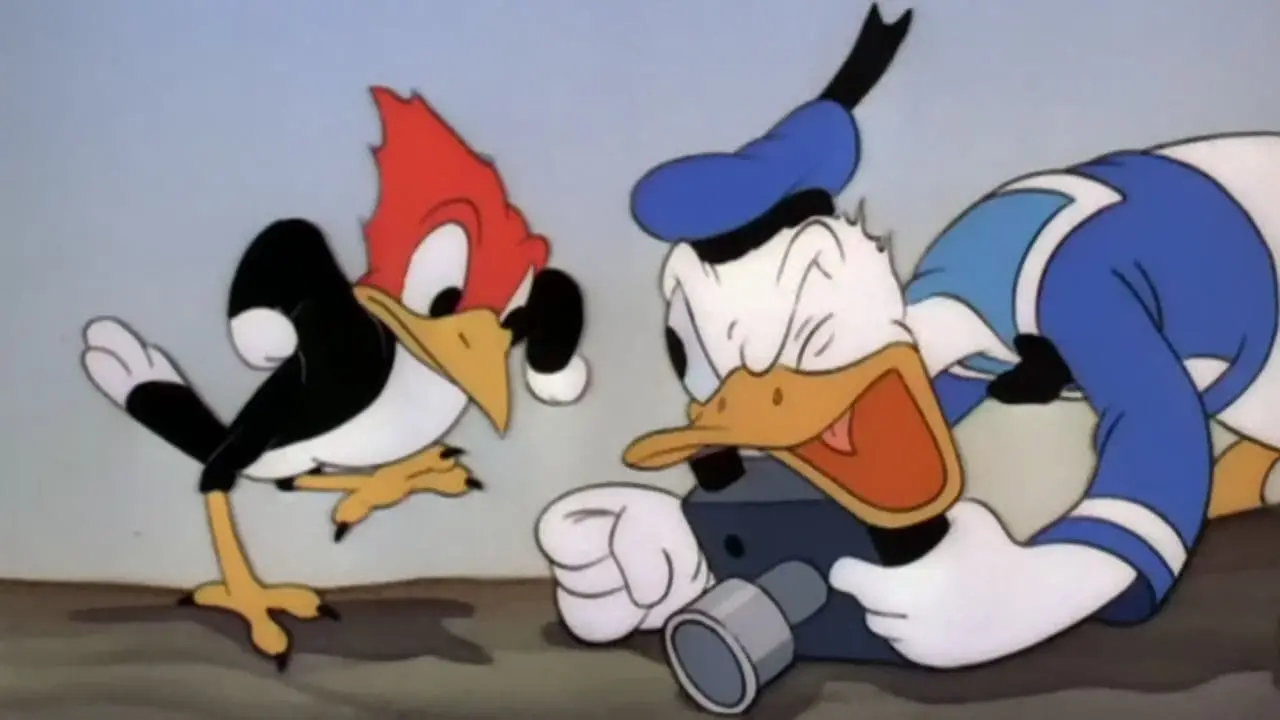 Donald's Camera backdrop