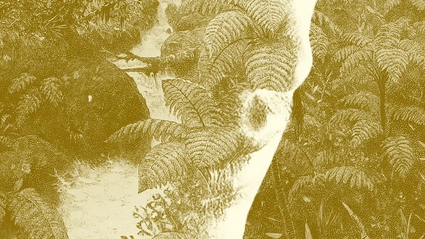 Tiger Bay backdrop