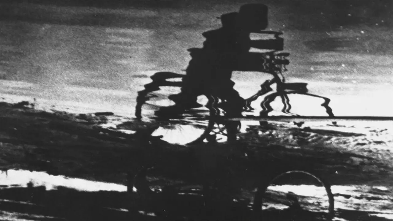 Boy and Bicycle backdrop