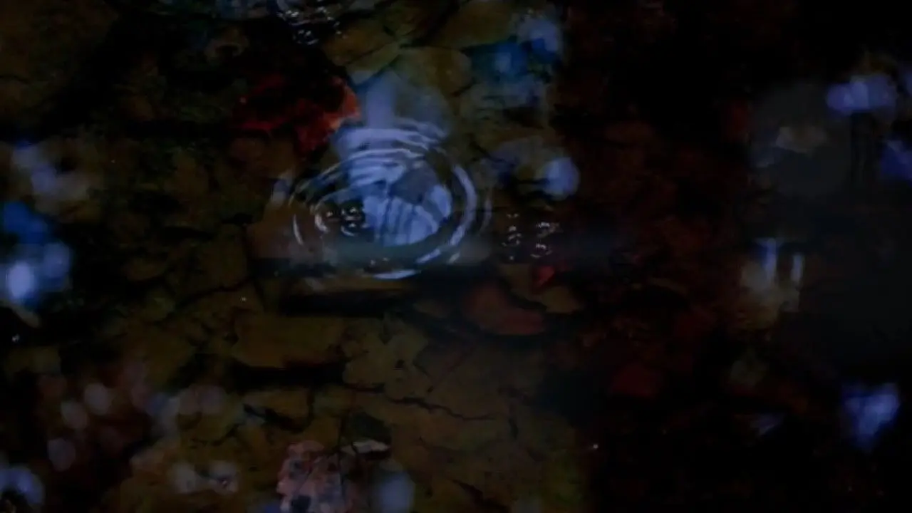 Amygdala Warrior backdrop