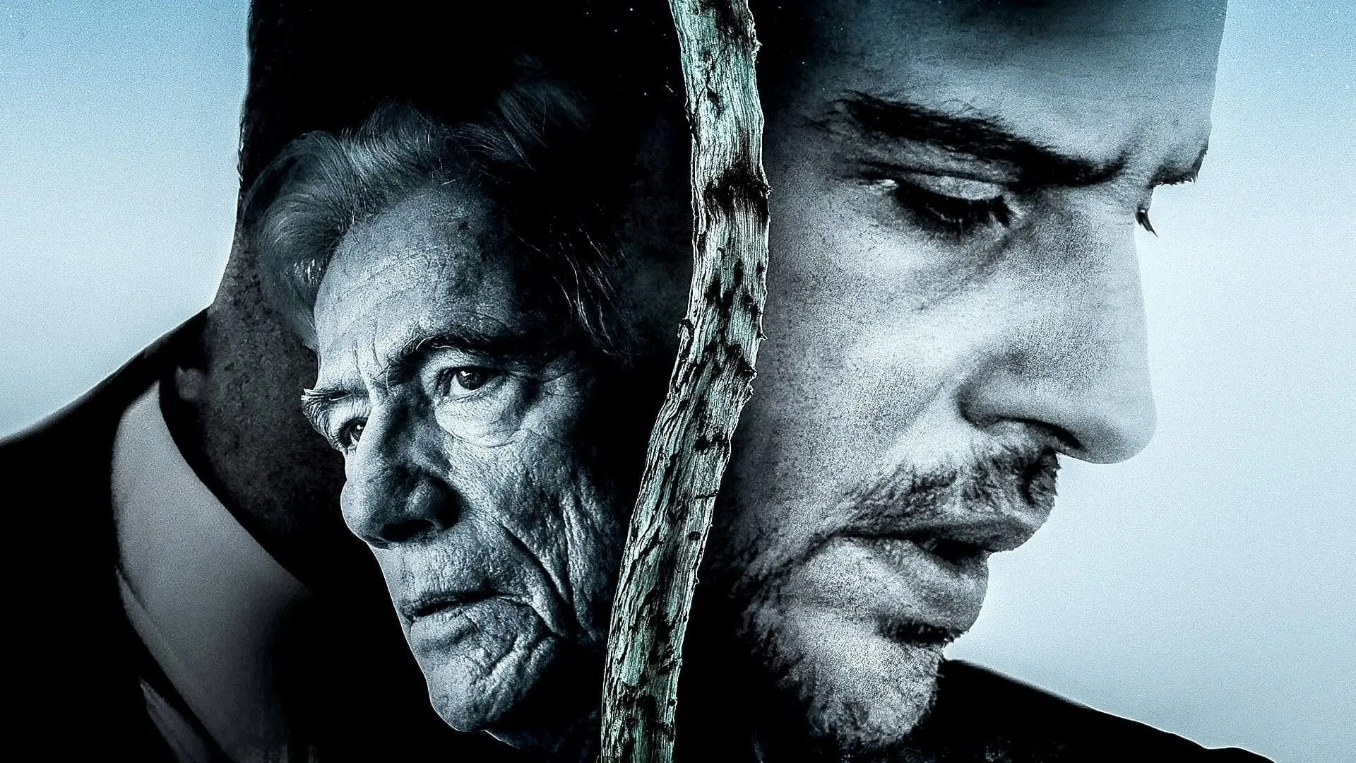 The Dark Side of the Moon backdrop