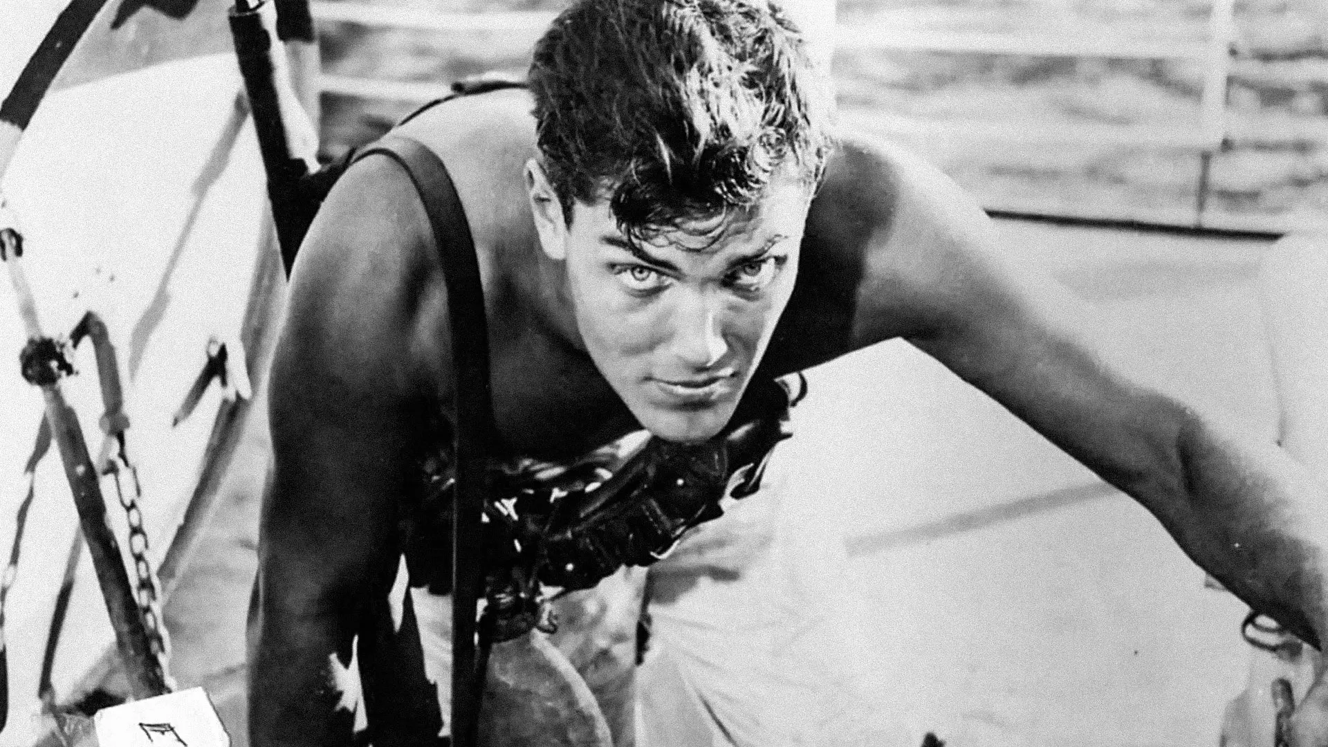 Sailor of the King backdrop