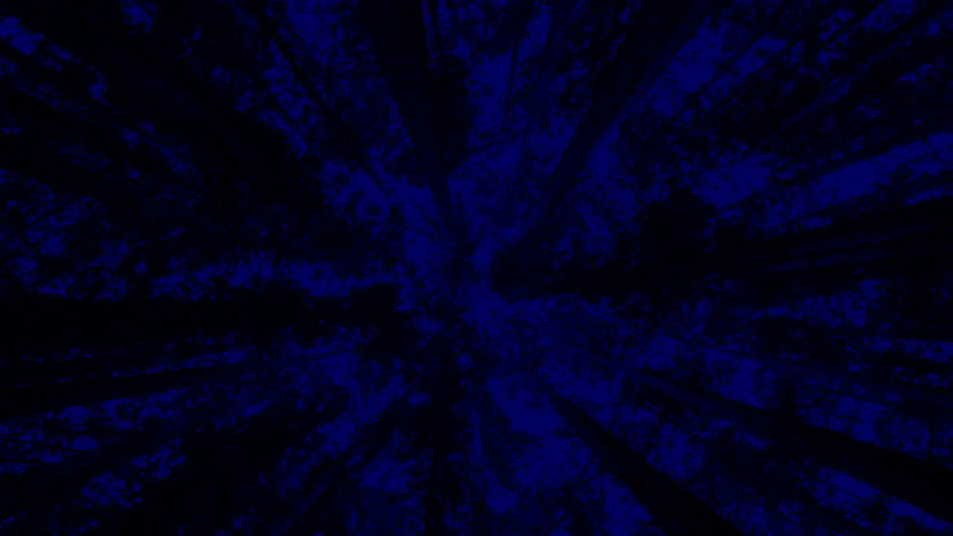 New York City Opera: A Little Night Music backdrop