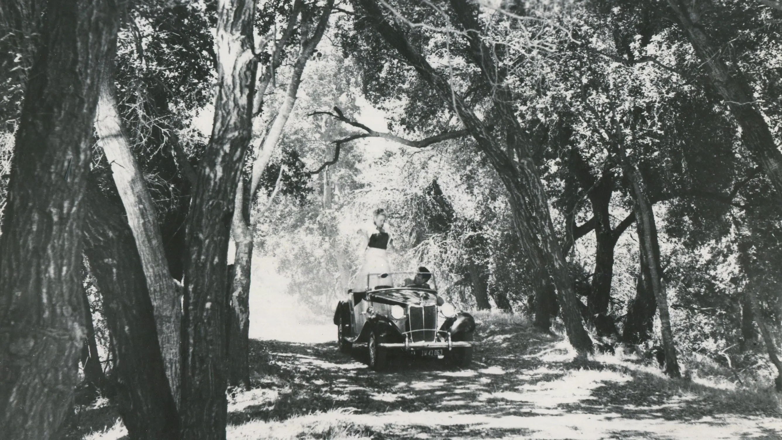 Marry Me Again backdrop