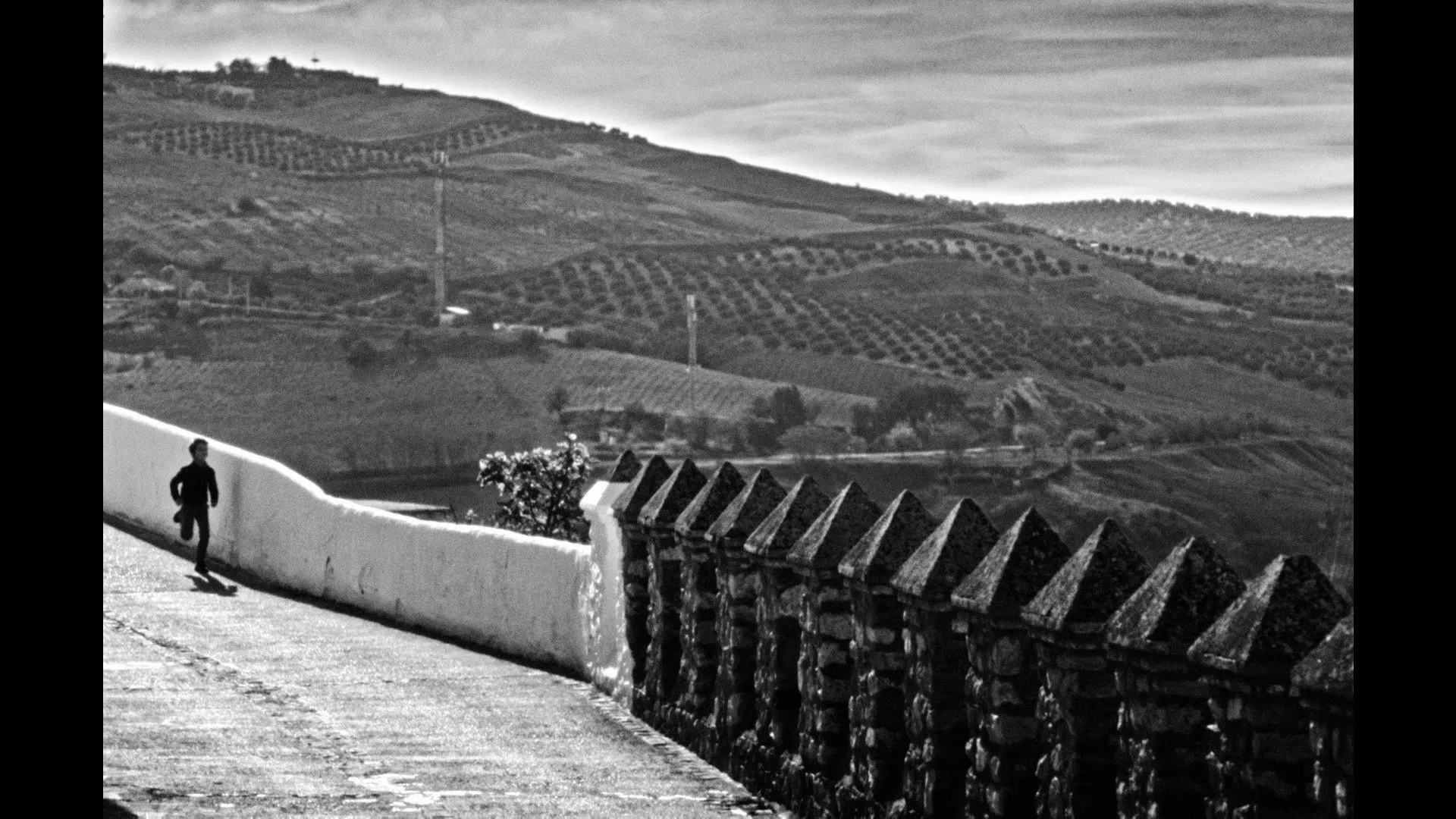 The Trail Left by Time backdrop