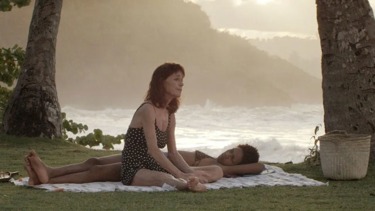 Sand Dollars backdrop