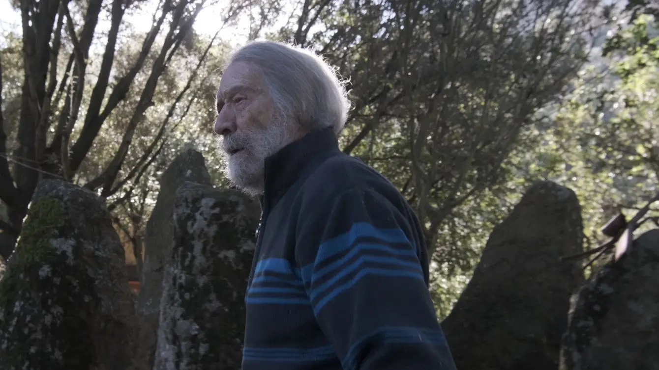 Bruno Petretto - Una vita per l'arte backdrop