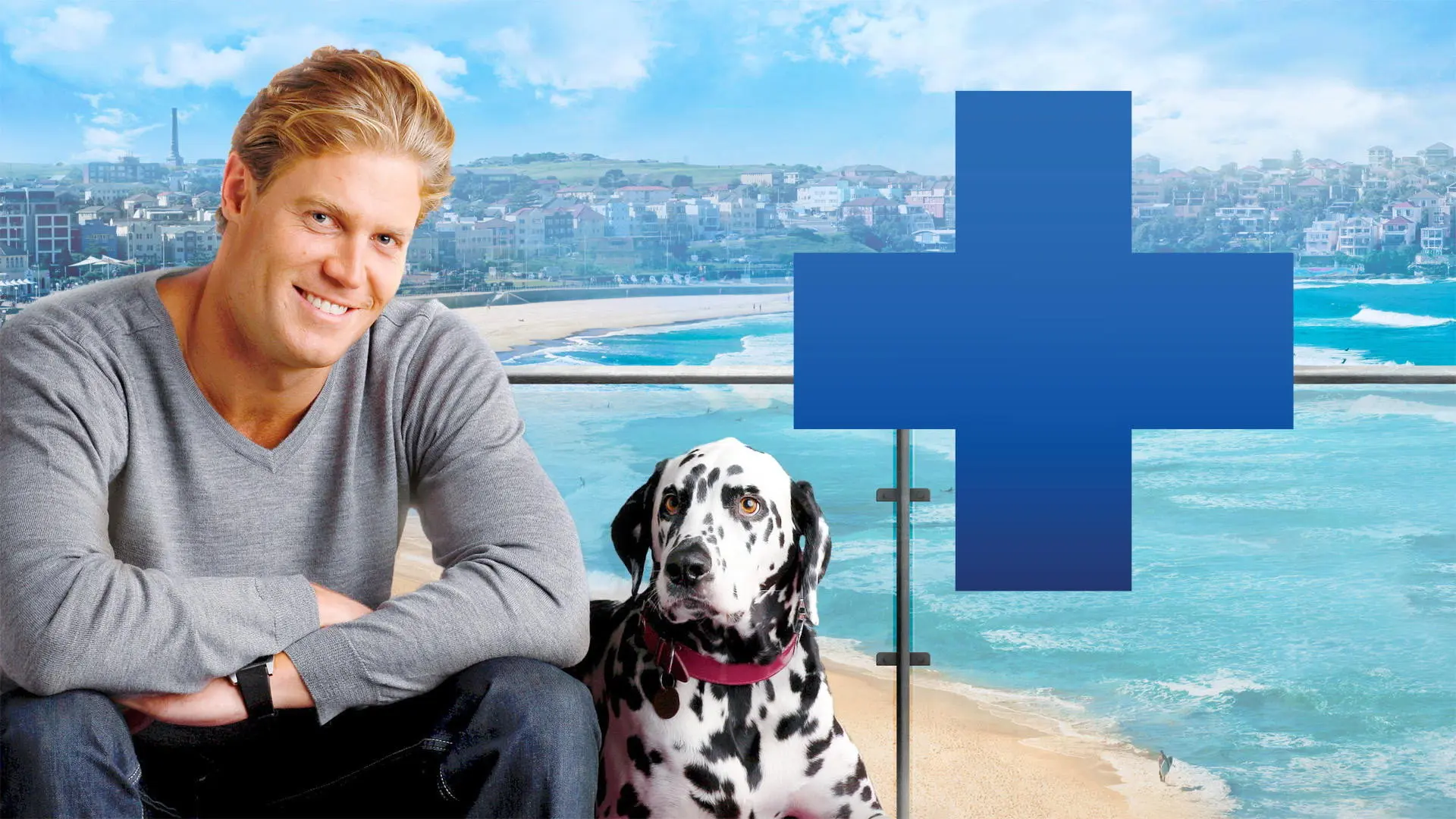 Bondi Vet backdrop