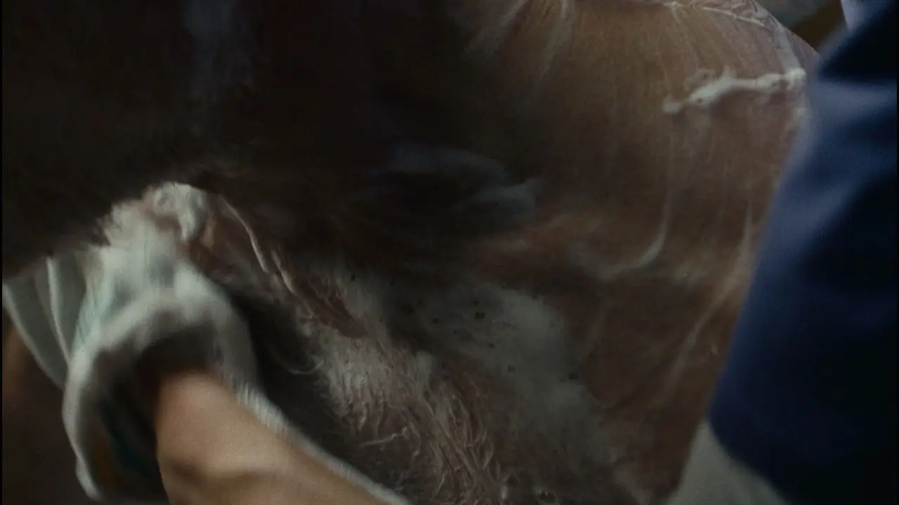 Dignity Keeper backdrop