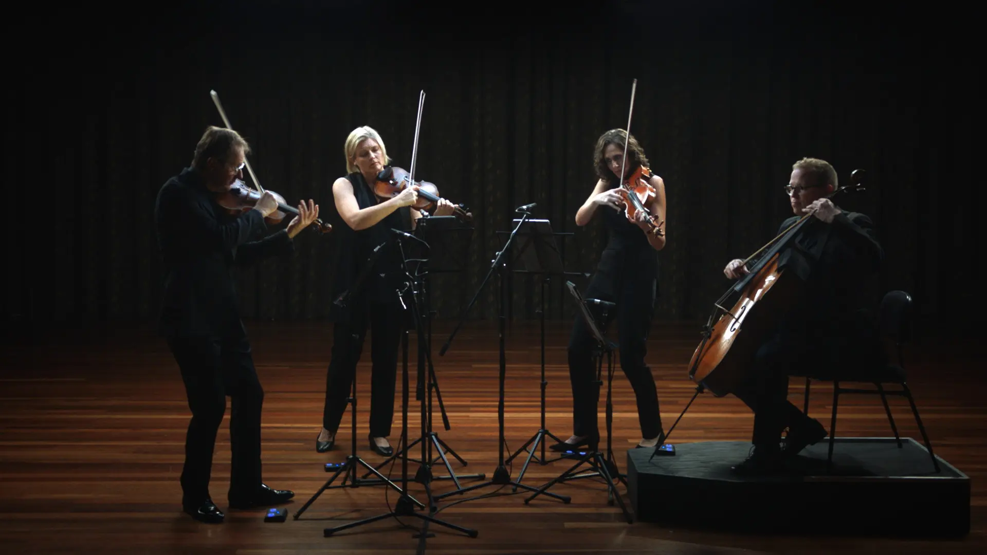 Anatomy of a String Quartet backdrop