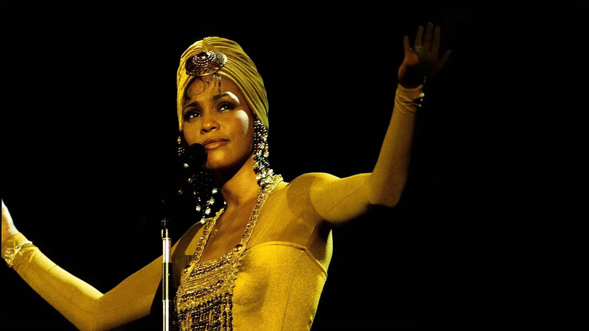 Whitney Houston: The Concert for a New South Africa (Durban) backdrop