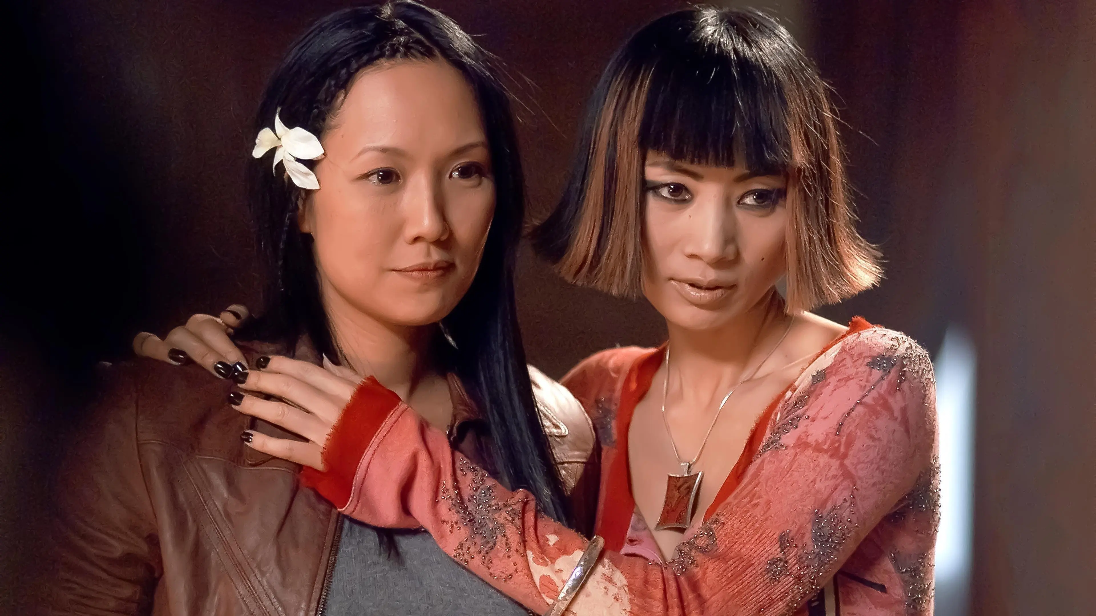 Dim Sum Funeral backdrop